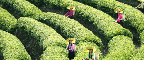 礦山修復(fù) 礦山修復(fù)