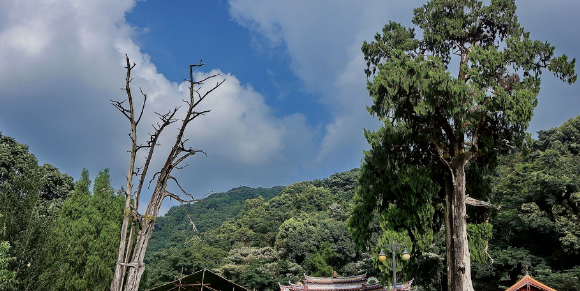 景觀設(shè)計(jì) 景觀設(shè)計(jì)