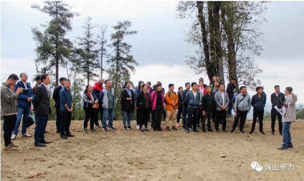 圖片.png 圖片.png